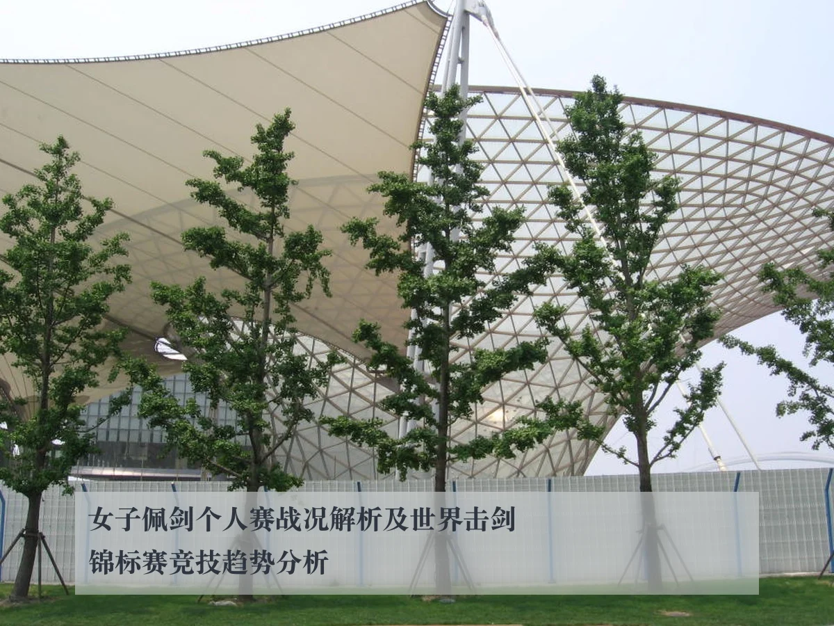 女子佩剑个人赛战况解析及世界击剑锦标赛竞技趋势分析